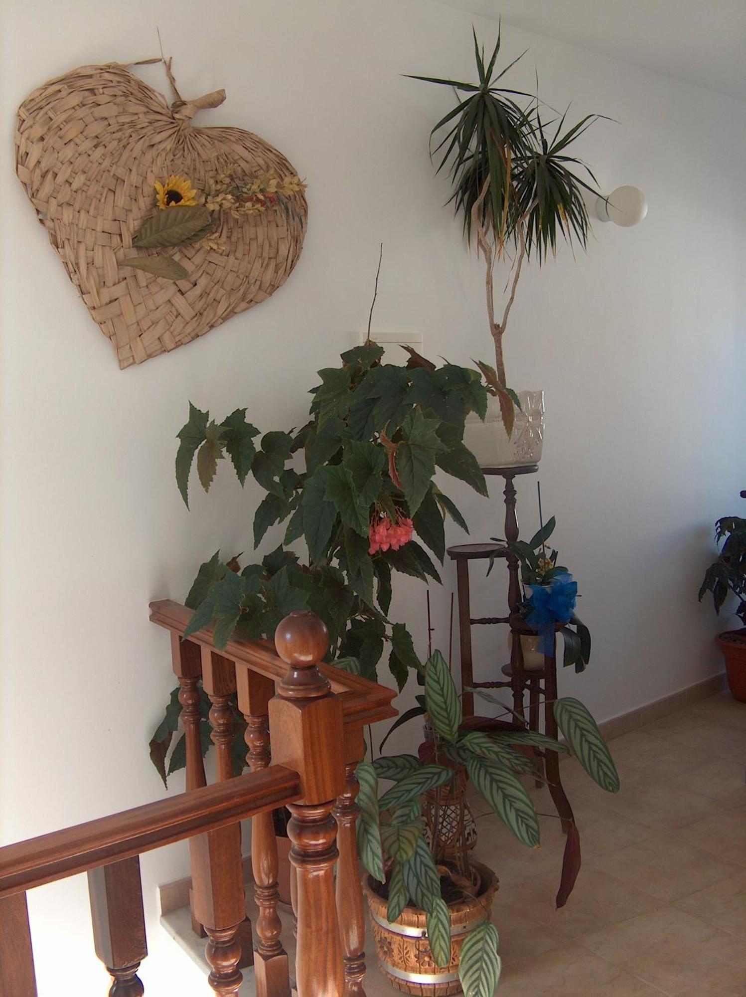 Guesthouse A Lareira Алжезур Екстериор снимка